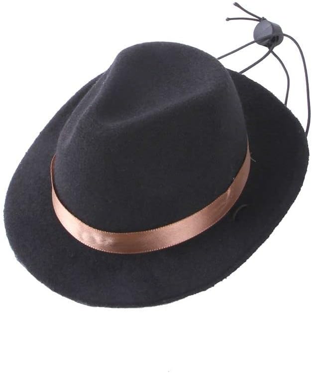 Pet Hat, Dress Up Dog Costume, Dog Cowboy Hat, Funny Pet