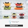 Freshware Glass Storage Containers with Lids, 24 Pieces, 12 Containers with 12 Lids, Glass Meal Prep Container for Lunch, Food Storage Containers, Leak Proof, Freezer Safe, Gray