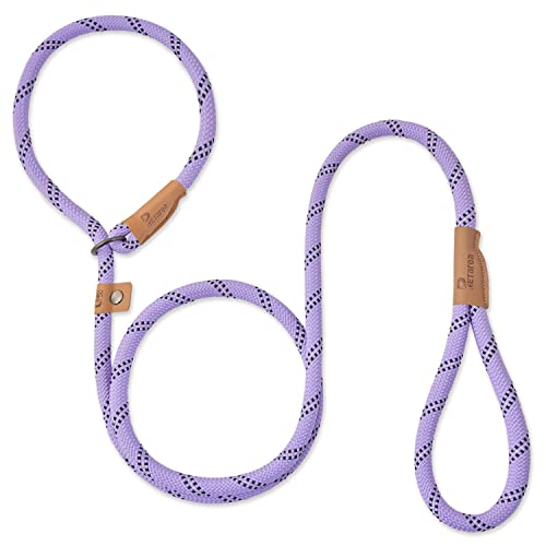 Top 5 Best Heavy Duty Slip Lead For Dogs