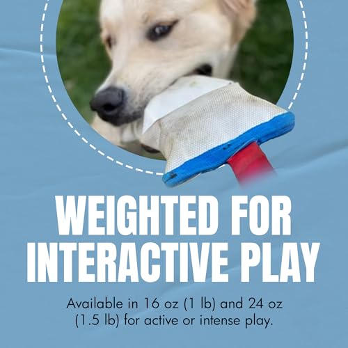 Image of Verve Interactive Hybrid Toy - Soft & Durable Fetch Toy with Mouth Feel - 1 lb (16 oz)