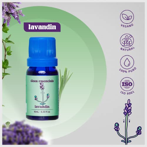 Divina Fórmula - Kit de 3 Óleos Essenciais Naturais de Hortelã-Pimenta, Lavandin e Tangerina - Óleo