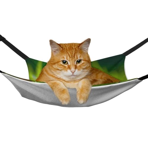 Hamac pour chat doux respirant réglable pour furet et chaton