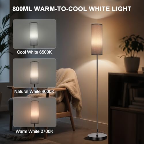 Image of FRIDEKO HOME Gray Floor Lamps for Bedroom, Dimmable Colors Temperature & Brightness, Plug in Modern Floor Lamps for Living Room, Tall Standing Lamps for Office, Corner Lamp, 9W RGB LED Bulb