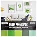 ColorBok 73477B Smooth Cardstock Paper Pad Green Promenade, 12" x 12"