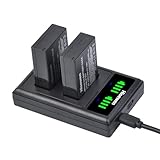 Hisewen 2 Pack LP-E17 Battery and Charger for Canon Eos R10, Eos RP, Rebel T8i,T7i,T6i,T6s, SL2,SL3, EOS M3,M5,M6, EOS 200D,77D,750D,760D,800D,8000D Digital Camera