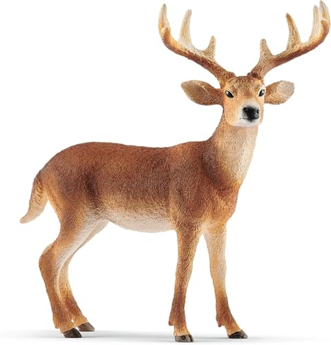 Schleich WILD Life Weißwedelhirsch 14818 detailgetreue Tierfiguren Zoo Spielzeug Geschenk für Jungen & Mädchen Deko für Geburtstag oder Weihnachten Spielfigur ab 3 Jahren 11 x 5 x 10 cm