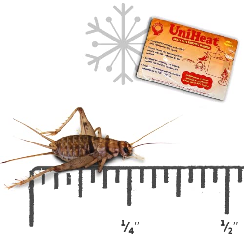 Josh's Frogs 1/4" Banded Crickets (120 Count) #TOP27