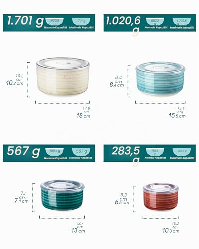 vancasso Bonbon Keramikschale mit Deckel, Suppenschalen mit Deckel, Servierschalen Set 4er mit Deckel für Mittagessen, Picknick, Küche, Lebensmittelaufbewahrungsbehälter, Servierschalen