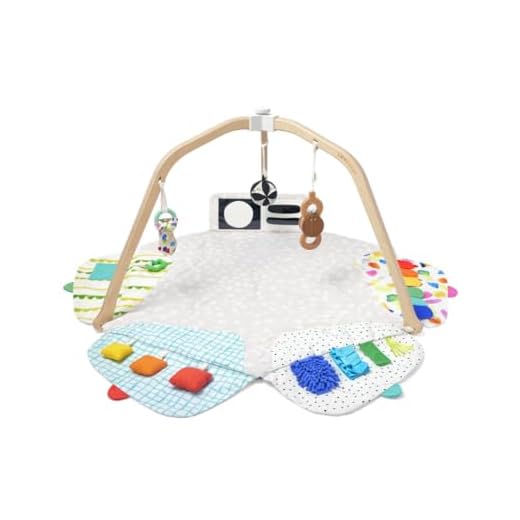 LOVEVERY | The Play Gym | Award Winning For Baby , Stage-Based Developmental Activity Gym & Play Mat for Baby to Toddler