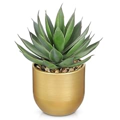 Aloe-gold Metal Vase
