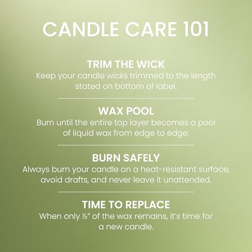 Yankee Candle Large Jar Scented Candle with up to 150 Hour Burn Time, Premium Plant Wax Blend for Consistent Burn, 22 oz Jar Candle with Room Filling Fragrance, Vanilla Lime