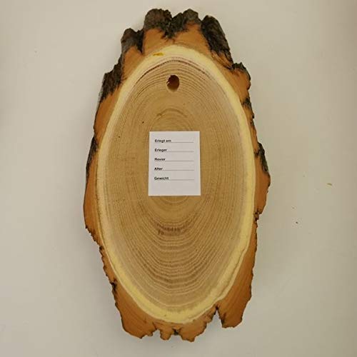 GTK - Geweihe & Trophäen KRUMHOLZ 10 carteles de madera de acacia REH para trofeos grandes de corzo, disco de árbol