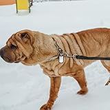 Garneck 4er Set Dog Tag Aus Silikon – Schwarz – Gummiring Für Hundemarken – Schützt Und Dämpft Geräusche Von Militärhund ID Tags