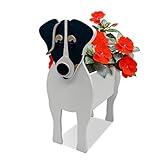 Photo Gallery ldfhoin vaso da fiori per cani, in pvc, 34 x 24 cm, per piante, per interni ed esterni, per piante grasse e cactus, per ufficio, casa, regali Photo Gallery ldfhoin vaso da fiori per cani, in pvc, 34 x 24 cm, per piante, per interni ed esterni, per piante grasse e cactus, per ufficio, casa, regali