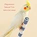 ZHENZQ Parrot Perch Washable Stand Bird Ceramics Standing Grinding Claw Toy for Small Birds Easy to Fix for Cage