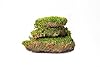 SuperMoss (21543) Mood Moss – Natural Moss for Home Decor, Terrariums, Floral Arrangements, and Craft Projects, 480 cu in, Preserved #3