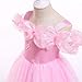 Cenicienta Disfraz Carnaval Cosplay Cinderella Vestidos Niña Fiesta para la Boda 5-14...