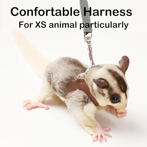 Sugar Glider Geschirr und Leine, Set für Kleintier-Training, Spaziergänge, Weste für Eichhörnchen, Hamster, Ratten, Schwarz, 3 Stück