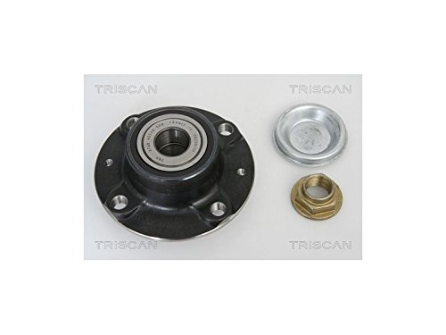 Triscan 853028230 Rear Wheel Bearing Kit : Amazon.de: Automotive