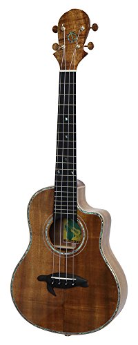 Big Island Ukulele HONU KX Koa Series ei[ Jb^EFC sbNAbv KXE-TRCG