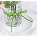 UnionJoy Apple Green Double Face Satin Ribbon, 1/4