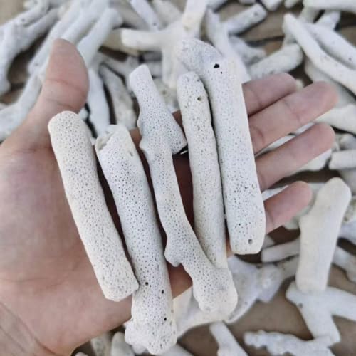 CAPUFIB 500g/1.1lb Premium Large Chunk Crushed Coral, Suitable for Freshwater Aquariums, Pond Filters, and Aquariums, pH Booster, Reusable, Fish Tank Coral Stone