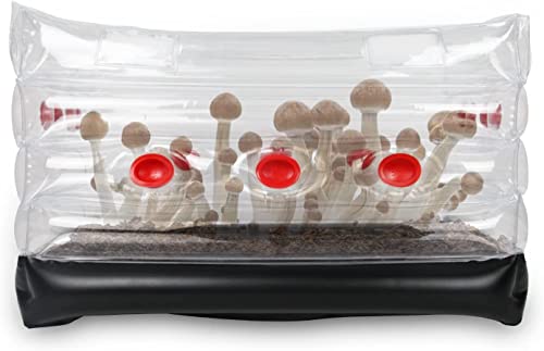 X - Grand kit de culture de champignons gonflables pour la maison - Sauvez vos sacs de culture de champignons