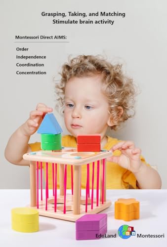 Image of Practical Life Wooden Geometric Shape Shaker Match & Post /Push & Pull Toys for Toddlers 3-6 Years Old Montessori Infant Baby Toys Girls & Boys Blocks Baby Birthday Gift (Color A)