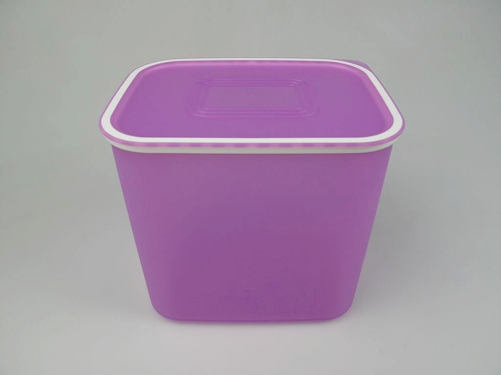 Tupperware Quadro Vorratsdose 4,6 L – Hellblau-weiß Mit Tiermotiv | Luftdicht, Spülmaschinenfest & Stapelbar