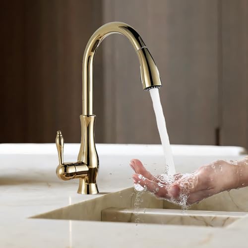 Robinet de cuisine en acier brossé de qualité supérieure LWX - 2