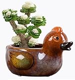 zmgmsmh Animal Shaped Planter Flower Pot Duck Shape Small Succulent pots with Drainage Ceramic Animal Planter, Indoor Plant Container Planter with Drainage Hole Home Office Desk Garden (Duck)