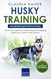 siberian husky kaufen züchter  Husky Training – Hundetraining für Deinen Husky: Wie Du durch gezieltes Hundetraining eine einzigartige Beziehung zu Deinem Husky aufbaust (Husky Band, Band 2)