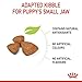 Royal Canin X-SMALL Puppy | 4er Pack | 4 x 500 g | Trockenfutter für Welpen sehr Kleiner Hunderassen | Kann zur normalen Funktion des Immunsystems beitragen | Mit Omega-3