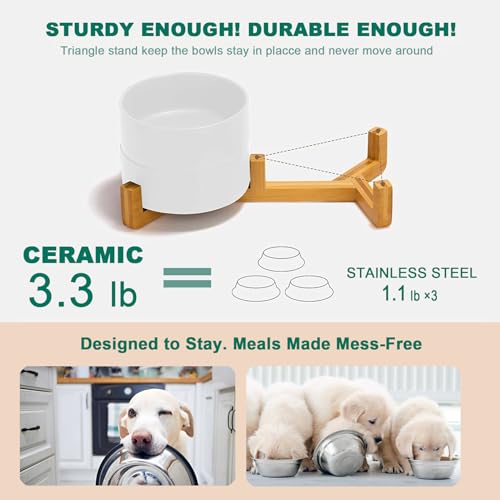 Dog Bowls for Small Dogs, Cat Dishes for Indoor Cats, Raised Tilted Ceramic Set of 2 with Bamboo Stand and Non Slip Silicone Mat - Elevated for Food and Water, Neck Care Feeding Bowl 650ml - Image 4