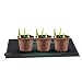 RIOGOO Placa calefactora para Invernadero, germinación, jardín hidropónico, terrario - Marcado CE...