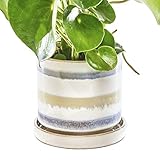 CHIVE ‘Minute’ Ceramic...