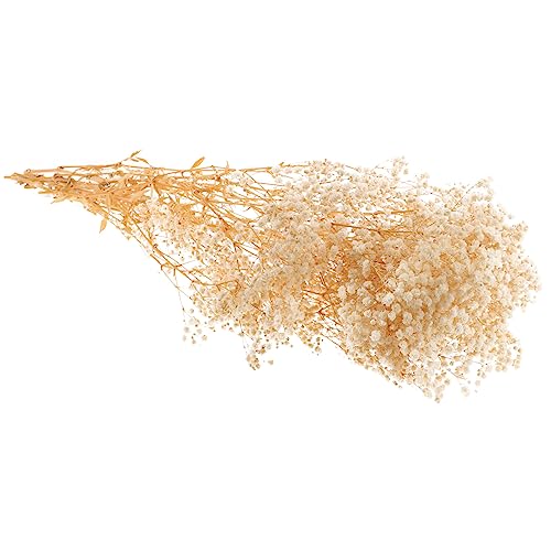 Ramo de flores secas Babysbreath para decoración miniatura 1