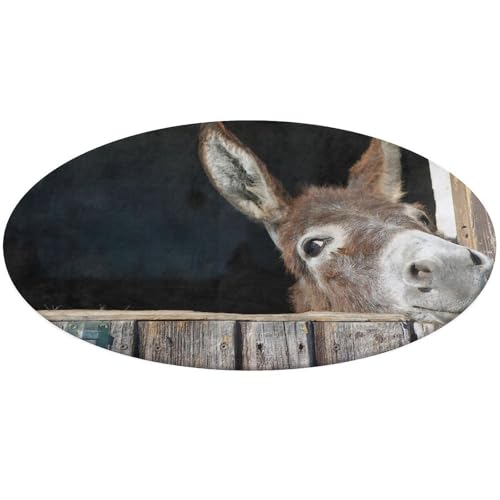 Funny Donkey Round Area Rug �\�t�g �L���[�g �o�X���[�����O ����~�� �~�` ���փ��O �􂦂� ���� �t���A �J�[�y�b�g �t�����g �h�A ���O �Q�� ���r���O���[�� 60 x 60cm