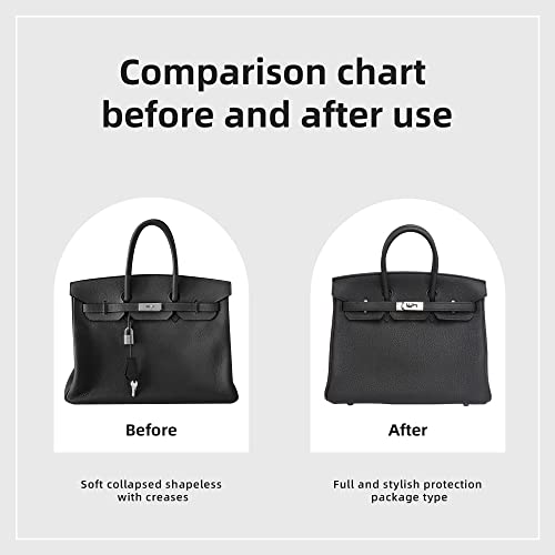 Dgaz Purse Organizer Silky Smooth,Silk,Luxury Handbag Tote In Bag Shapers, Women- Fits Birkin25/30/35/40 Bags (Black, Bk25) #TOP3