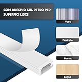 shinfly B0F5WCK8KK lato 4