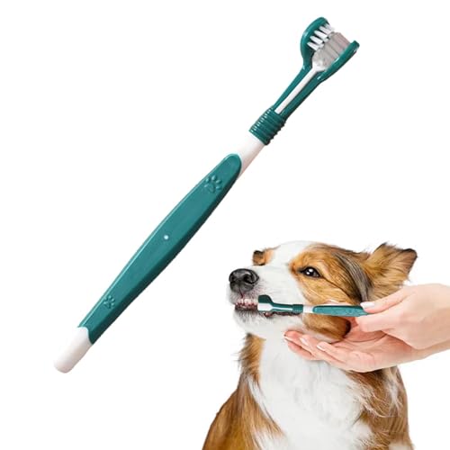 LpuV,LpuV \tg | LpuVX[TChps[eB[PAuV - ƒpybgp̔ĽoqPAuV₷