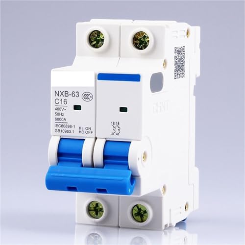 Disjoncteur miniature 2P AC 230V anti surcharge pour tableau DZ47