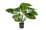 artplants.de Alocasia Calidora Artificiel, 15 Feuilles, Vert, 75cm - Plante Artificielle Exotique - Plante Verte Plastique