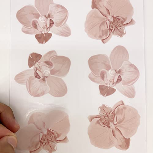 36 Piezas Vinilos Decorativos Flores Sakura Boho miniatura 5