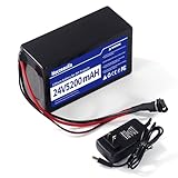 Noczeaulia 24V 5.2Ah Lithium Battery with 25.2V 1A Charger, 24V Rechargeable Battery for LED Strips and DIY Projects Black