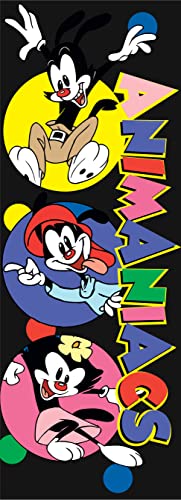 Animaniacs Warner Brothers and Dot Men's Black Sleep Pajama Pants2