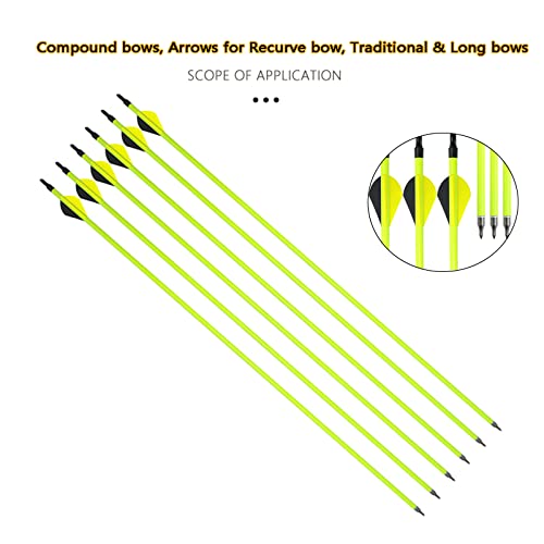 Aolvlulr 31" Carbon Arrows Target Flu-Flu Arrows Spine 500 Mix Carbon Hunting Targeting Arrows Removable Nock & Tips Points Archery Carbon Arrows For Compound & Recurve Bows Practice Shooting (6Pcs) #TOP4
