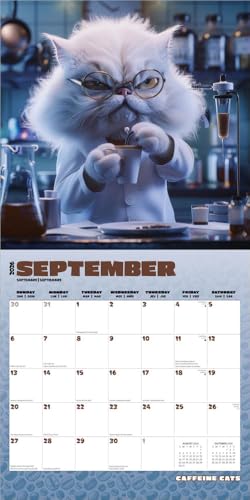 Caffeine Cats | 2026 12 x 24 Inch (Hanging) Monthly Square Wall Calendar | Plastic-Free | BrownTrout | Pets Funny Animals Feline - image 4