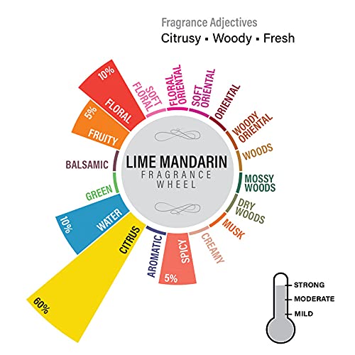 Image of EKAM Lime Mandarin Scented Votive Candle - 40 Grams Each - 10 Hours Burn Time - Ideal for Diwali, Home Decor & Gifting