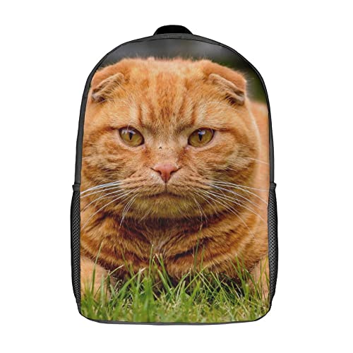 Sac à dos scolaire chat imprimé 3D le cadeau idéal pour la rentrée